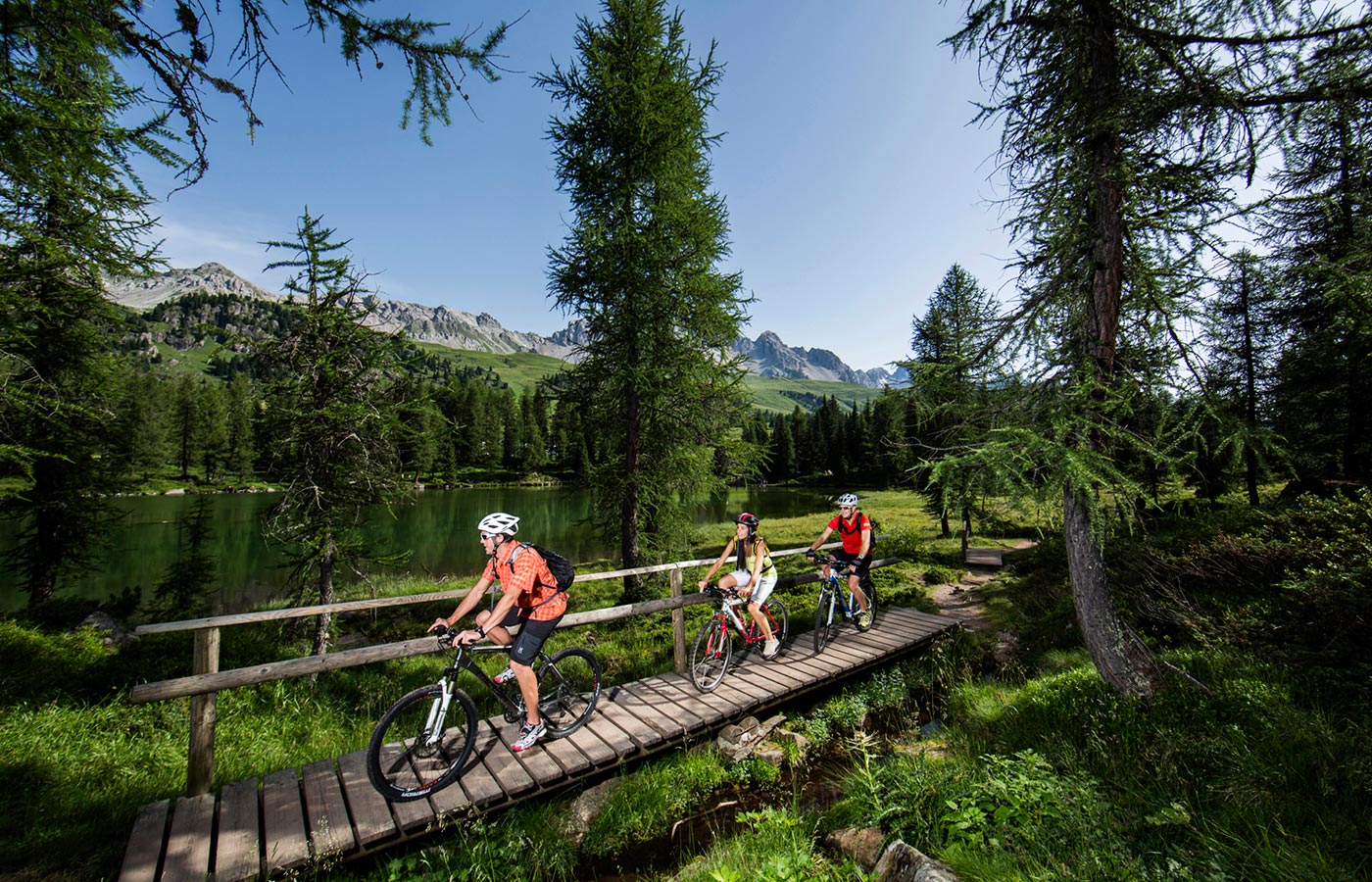 Touristen auf dem Fahrrad genießen einen Tag auuf dem Fahrrad inmitten der Natur