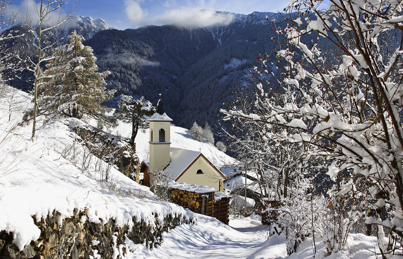 CHALET ASTER IMG 03